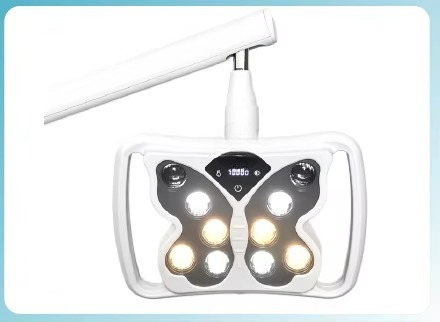 مصباح LED مع ضوء LED لتبييض ال - مراجعة Teeth Whitening Lamp وسعره